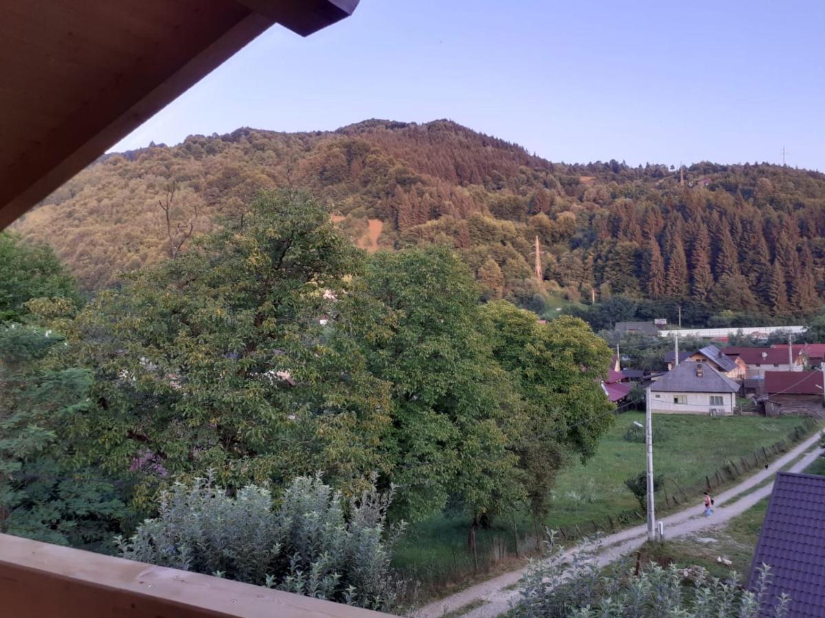 Casa Mara Viseu De Sus Hotel Eksteriør billede