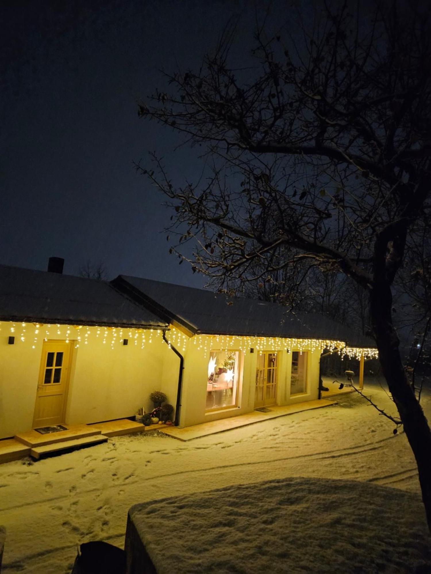 Casa Mara Viseu De Sus Hotel Eksteriør billede