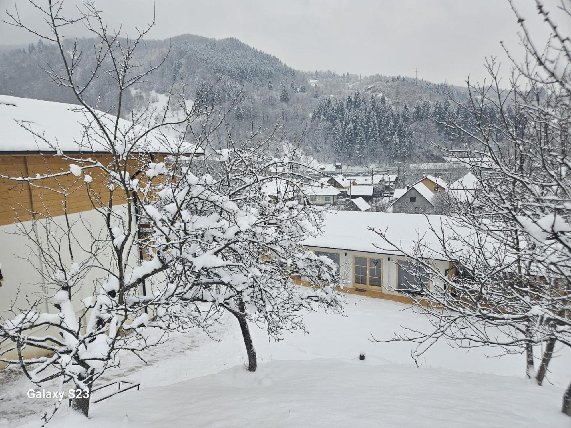 Casa Mara Viseu De Sus Hotel Eksteriør billede