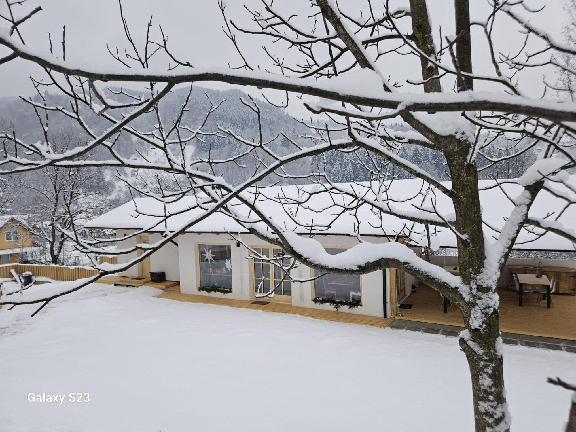 Casa Mara Viseu De Sus Hotel Eksteriør billede