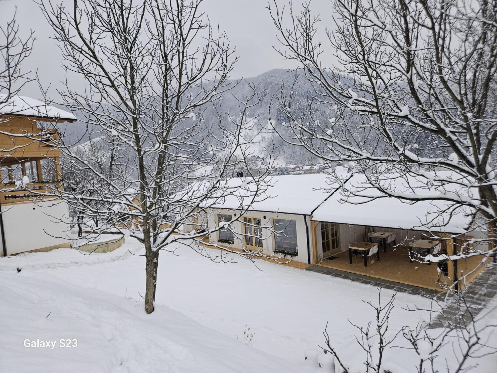 Casa Mara Viseu De Sus Hotel Eksteriør billede