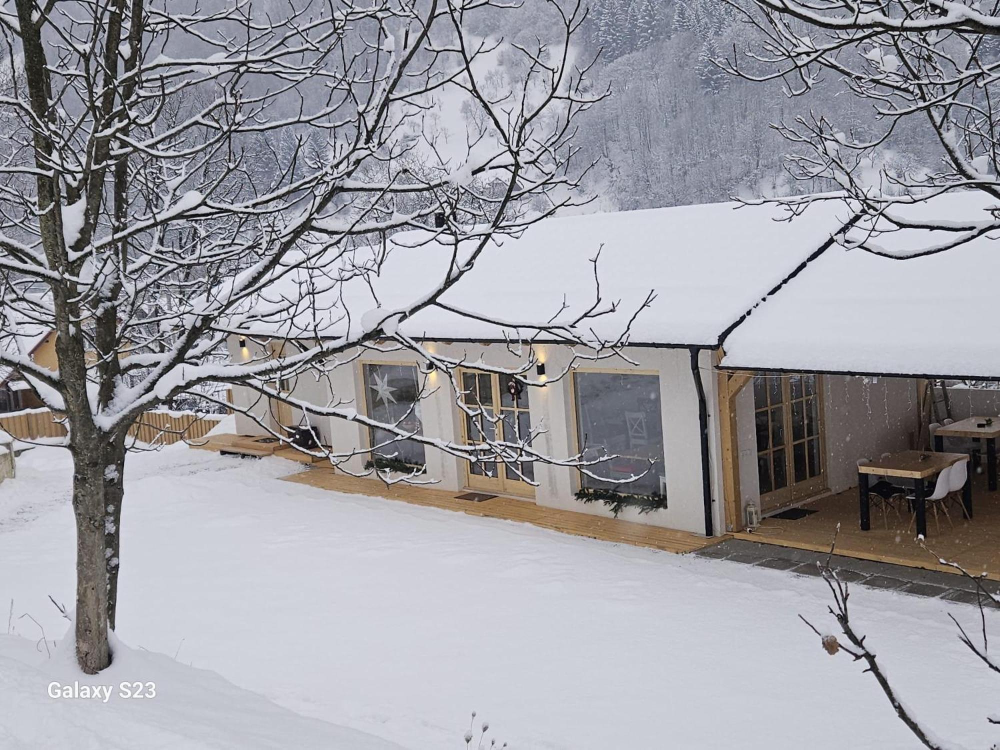 Casa Mara Viseu De Sus Hotel Eksteriør billede
