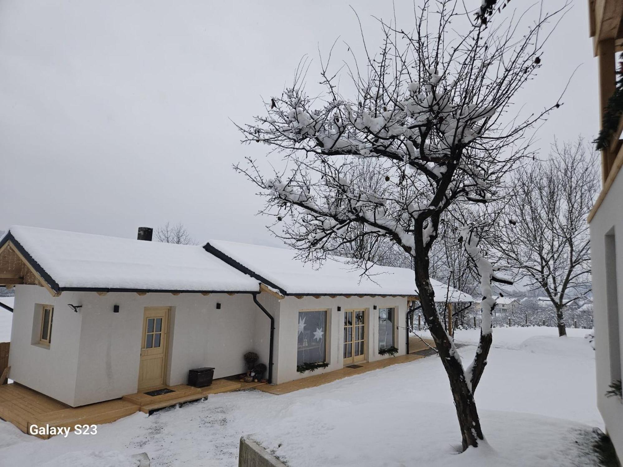 Casa Mara Viseu De Sus Hotel Eksteriør billede
