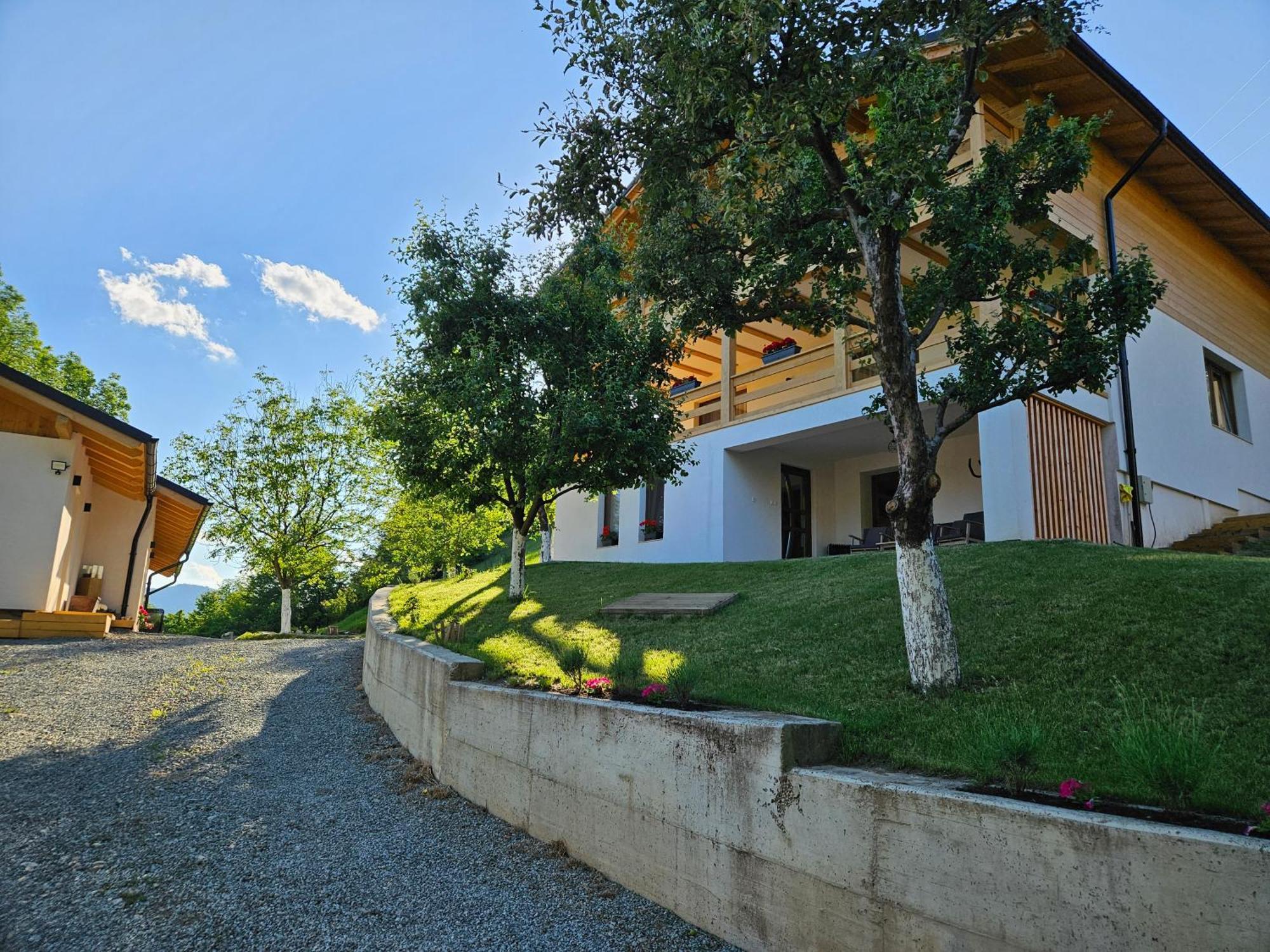 Casa Mara Viseu De Sus Hotel Eksteriør billede